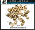 Taiwan CNC brass Metal screw buckle 1