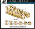 Taiwan CNC brass Metal screw buckle 1