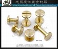 Taiwan CNC brass Metal screw buckle 5