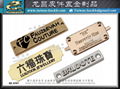 Cosmetic Metal Accessories 7