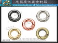 Focus on webbing clothing underwear metal accessories