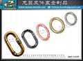 Alloy Spring O-Ring 