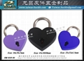 Metal Love Lock