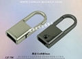 Taiwan Metal Swivel Hook 8