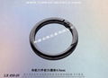 Round Metal Spring Ring Buckle 14