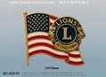  International Exchange Badge 9