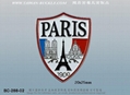  International Exchange Badge 11