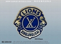  International Exchange Badge 17