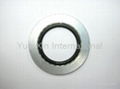 Bonded Seal (Stainless Steel) 2