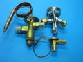 Expansion Valve 1