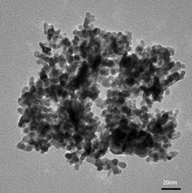 纳米铂粉 纳米铂碳催化剂 5nm 10nm 20nm 50nm