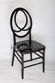 R-PX-A02 Black Color Resin Phoenix Hotel Chair