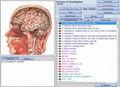 2014 Original Russian 8d Nls Health Analyzer Full Body Test