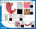 塔特隆獵人NLS系統4025生物共振健康掃描和治療