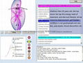 2014年生物共振掃描儀8D LRIS NLS IRIS- NLS量子健康分析儀機