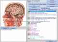 	2014 Bioresonance Scanner 8d lris nls IRIS- nls Quantum Health Analyzer Machine