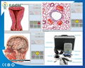 专业8D NLS与生物共振软件全身健康分析仪