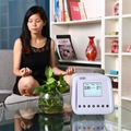 Electric field therapy equipment similar waki high potential therapy machine