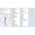 SSCH健康诊断机分析仪身体分析系统Vector V16 NLS