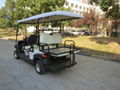 Electric golf cart EG204AK 2