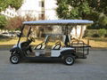 Electric golf cart EG204AK