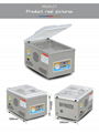  DZ-260/PD Fruit and Vegetable Vacuum Packing Machine 2