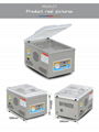  DZ-260/PD Fruit and Vegetable Vacuum Packing Machine
