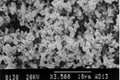 Tantalum Carbide - Niobium Carbide Solid Solution Powder 