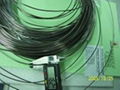 Tantalum alloy wire ( 97.5% tantalum,