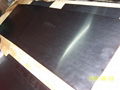 Niobium sheet Niobium plate Nb sheet Nb plate Columbium sheet Cb plate 3