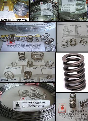 Tantalum Spring, Tantalum Valve Spring  2