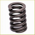 Tantalum Spring, Tantalum Valve Spring 