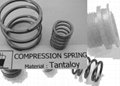 Tantalloy Spring Valve Spring for Gas Chlorinators Chlorine Feeders