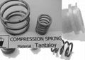 Tantaloy Relief Spring for Gas Chlorinators