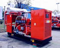 natural gas generator 250kva/200kw