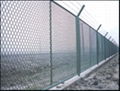 Fencing mesh