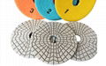 3 Step  Diamond Polishing Pads  1