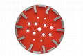 Blastrac 250mm diamond grinding plates disc wheels 4