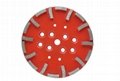 Blastrac 250mm diamond grinding plates disc wheels