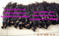 100% human hair weaving,remy hair extension,synthetic hair,virgin hair,wig,clip 3