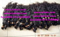 100% human hair weaving,remy hair extension,synthetic hair,virgin hair,wig,clip