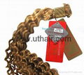 virgin hair ponytails,remy hair,single drawn hair,double drawn hair,clip,wig