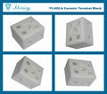 TC-652-A 2 Pole 65A Heat Temperature Porcelain Terminal Blocks 7