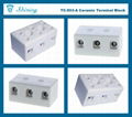 TC-503-A 陶瓷端子台 Ceramic Terminal Block 6