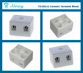 TC-202-A 2 Pole 600V 20A Heat Resistant Ceramic Terminal Block 7