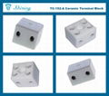 TC-152-A 陶瓷端子台 Ceramic Terminal Block 9