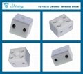 TC-152-A 2 Pole 600V 15A Heat Resistant Ceramic Terminal Block