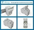 FS-032 600V 32A 2 Pole DIN Rail Mounted Cylindrical Fuse Carrier