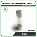 F-0632G-02 2A 6x30 Glass Tube Ferrule Fuse