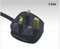 BSI power cord rewireable